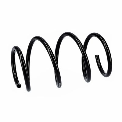 ARC SPIRAL EIBACH R10721 6