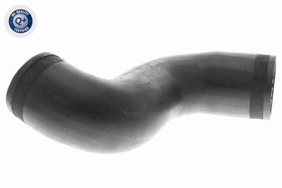 FURTUN EAR SUPRAALIMENTARE