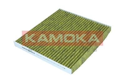 Filter, cabin air 6080140