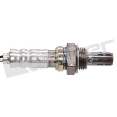 LAMBDASONDE WALKER PRODUCTS 25024985 1