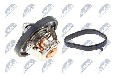 TERMOSTAT LICHID RACIRE NTY CTMFR011 1