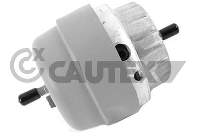 Подвеска, двигатель CAUTEX 756270 для AUDI A6