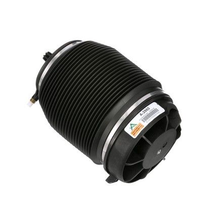 LUFTFEDER FAHRWERK Arnott A2960 55