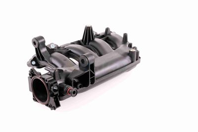 MODUL CONDUCTA ADMISIE VAICO V301074 5