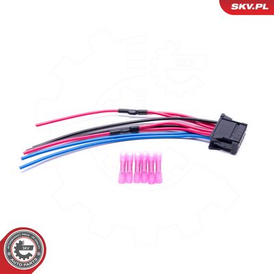 Kabelių remonto komplektas, valstybinio numerio apšvietimas