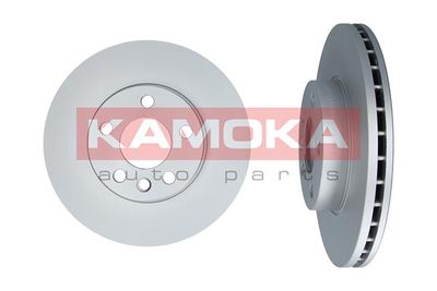 Brake Disc 1031691