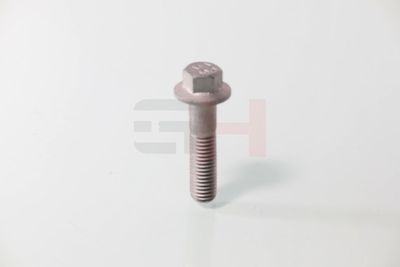 SURUB CAPAT DE AX GH GH392549 49