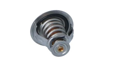 TERMOSTAT LICHID RACIRE NRF 725209 25