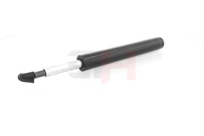 AMORTIZOR GH GH344794 9