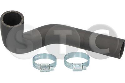 FURTUN EAR SUPRAALIMENTARE