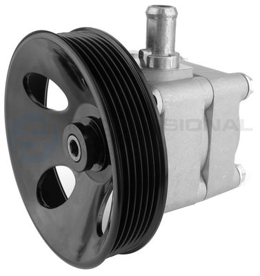 Hydrauliikkapumppu, ohjaus Professional Parts 61431957 – VOLVO