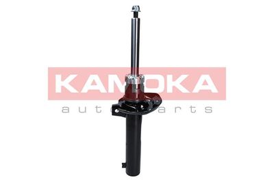 Shock Absorber 2000446