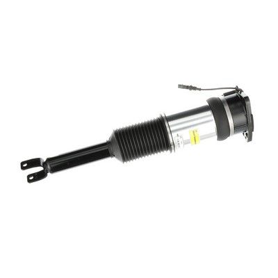 LUFTFEDERBEIN Arnott AS2966 75