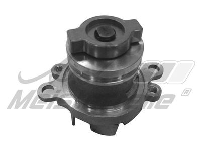 водна помпа, охлаждане на двигателя A.Z. Meisterteile AZMT-30-100-1576