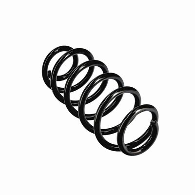 ARC SPIRAL EIBACH R11107 11