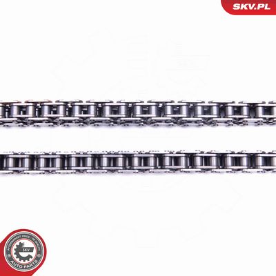 CHIT LANT DE DISTRIBUTIE ESEN SKV 21SKV192 2