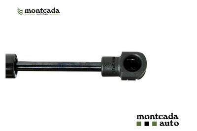 RAU041 Montcada Газовая пружина, стояночная торм