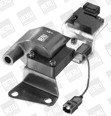 BorgWarner (BERU) Zündspule