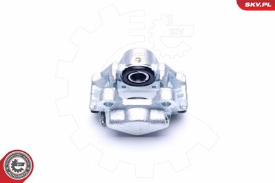 Brake Caliper 42SKV733