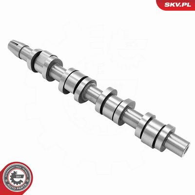 AX CU CAME ESEN SKV 80SKV042 1