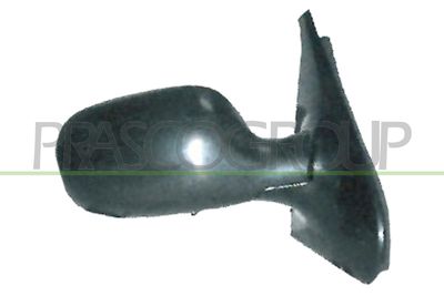 външно огледало PRASCO RN3227113P