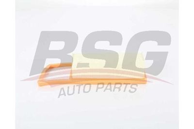 Воздушный фильтр BSG BSG 25-135-020 для CITROËN NEMO
