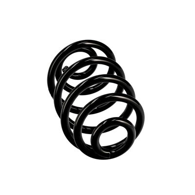 ARC SPIRAL EIBACH R10050 12