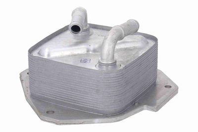 RADIATOR ULEI ULEI MOTOR ACKOJA A32600011 4