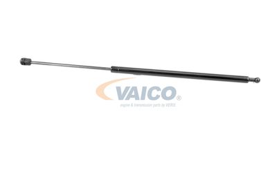 GASFEDER KOFFER-/LADERAUM VAICO V460438 38