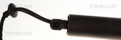 Plynárenská vzpera (pneumatická pružina), zavazadlový priestor TRISCAN 8710 14304