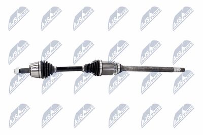 PLANETARA NTY NPWCH040 24