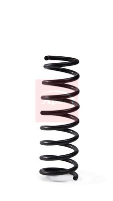 APEC Suspension Spring ACS1998