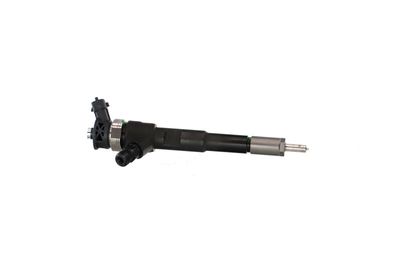 INJECTOR REMANTE 002003001494R 46