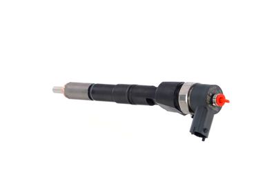INJECTOR REMANTE 002003001391R 18