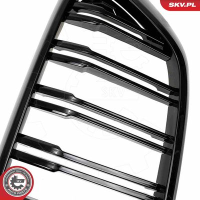 GRILA RADIATOR ESEN SKV 66SKV210 7