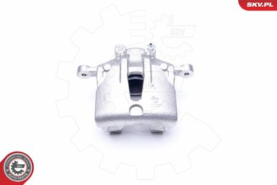 Brake Caliper 42SKV482