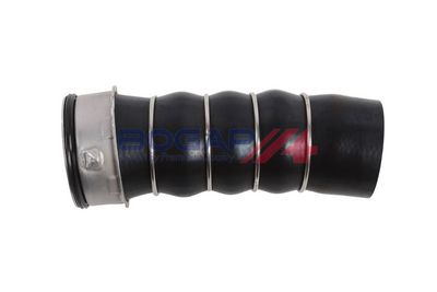 FURTUN EAR SUPRAALIMENTARE BOGAP B1711106 1
