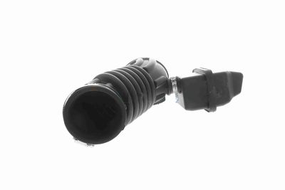 FURTUN ALIMENTARE AER ACKOJA A380593 9