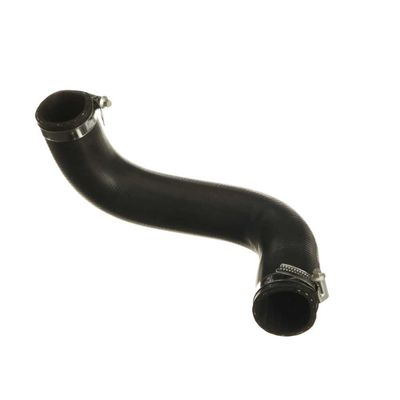 FURTUN EAR SUPRAALIMENTARE GATES 090609 28