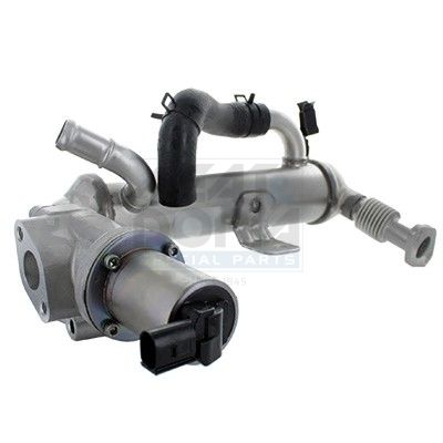 MODUL-EGR MEAT & DORIA 88747