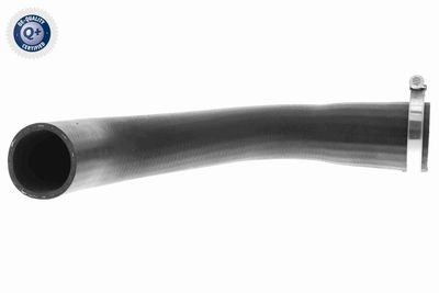 FURTUN EAR SUPRAALIMENTARE