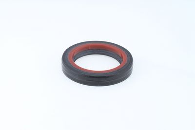 Dichtring