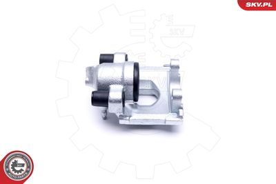 Brake Caliper 46SKV144