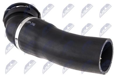 FURTUN EAR SUPRAALIMENTARE NTY GPPBM246 1