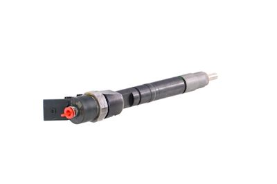 INJECTOR REMANTE 002003001099R 34