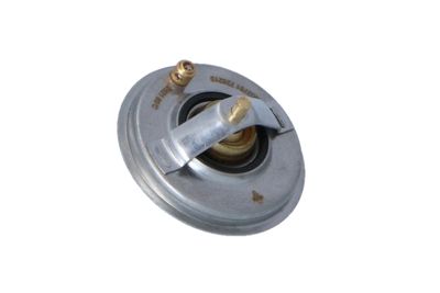 TERMOSTAT LICHID RACIRE NRF 725210 41