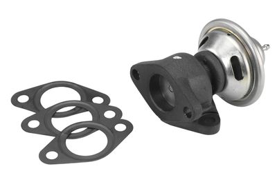 BorgWarner EGR Valve 7350D