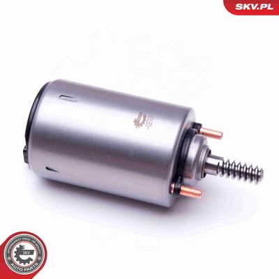 ELEMENT DE REGLARE ARBORE EXCENTIRC (CURSA VARIABILA VENTIL ESEN SKV 96SKV086 1