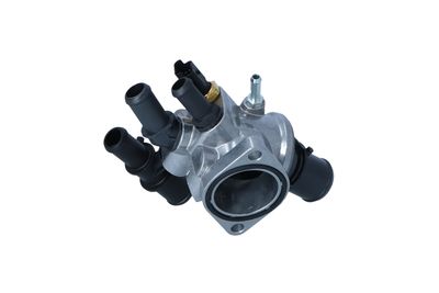 TERMOSTAT LICHID RACIRE NRF 725231 44