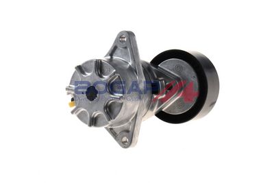 INTINZATOR CUREA CUREA DISTRIBUTIE BOGAP C1317100 5